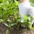 ユースマイルの特徴